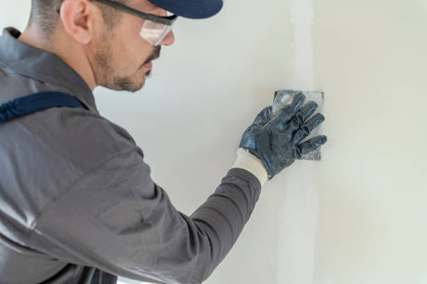 Best Interior Painting  in South Miami, FL